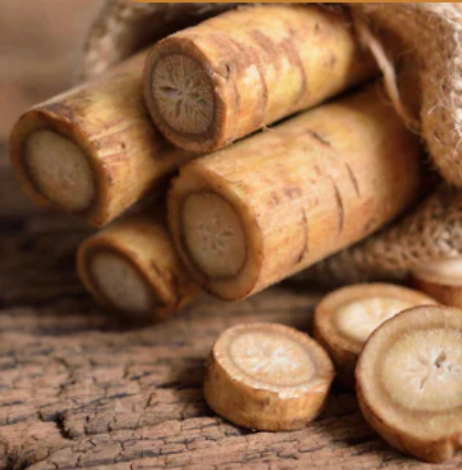Burdock Root